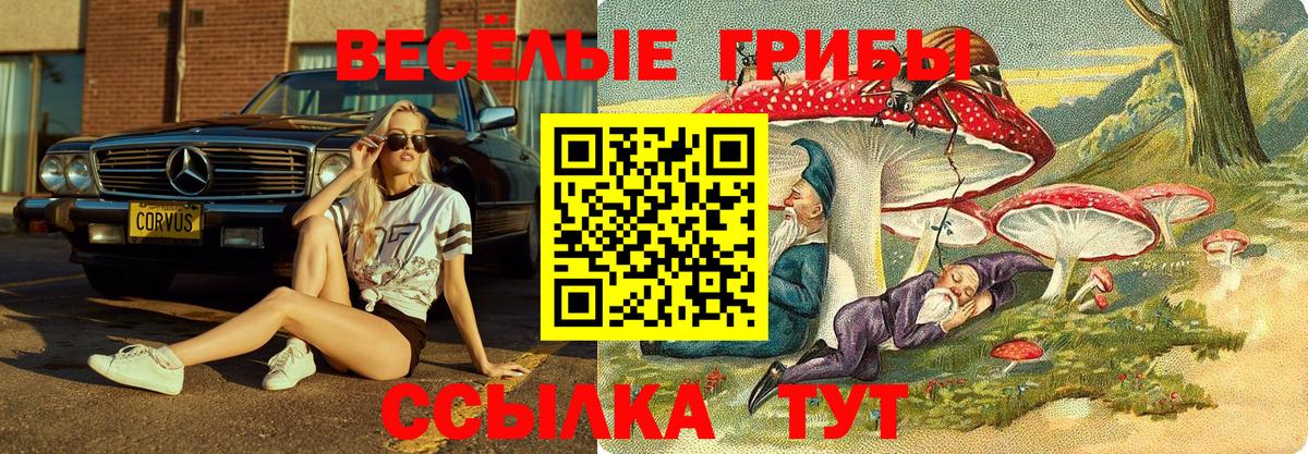 хочу   Галлюциногенные грибы мухоморы  Галлюциногенные грибы GOLDEN TEACHER  Вход с VPN  Усинск 
