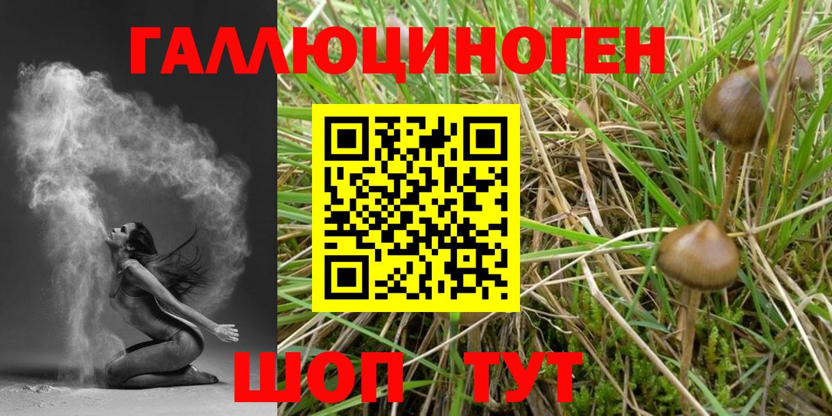 Псилоцибиновые грибы MAGIC MUSHROOMS Усинск